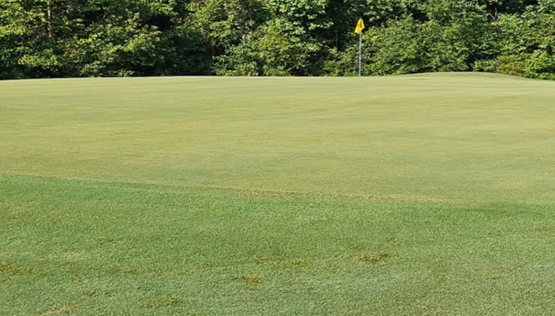 Mach 1 Green Catawba