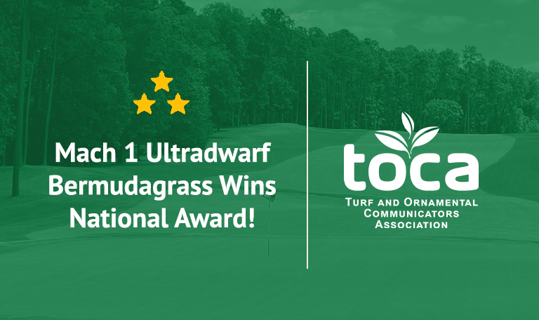 Grass Your Golf Course Greens with a Winner! Mach 1 Ultradwarf Bermudagrass